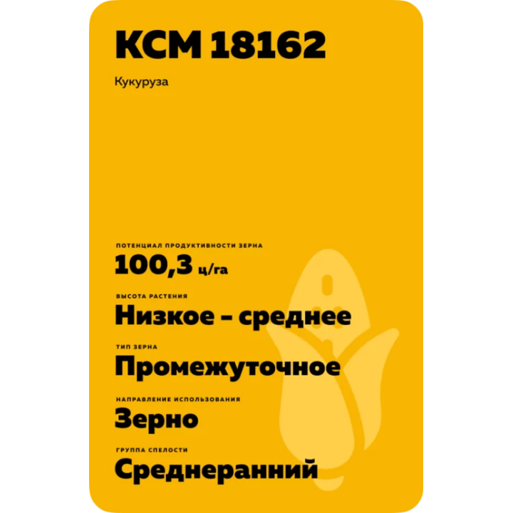 Muzi CS / Музі КС