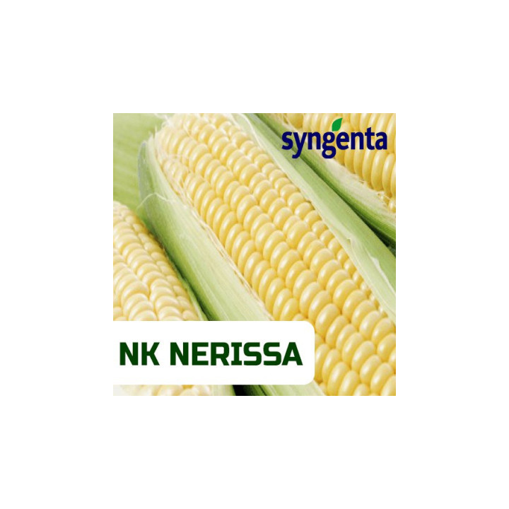 Nerissa / Неріса