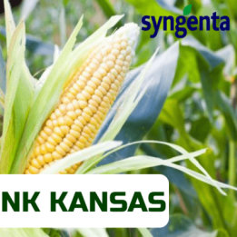 NK Kansas / НК Канзас