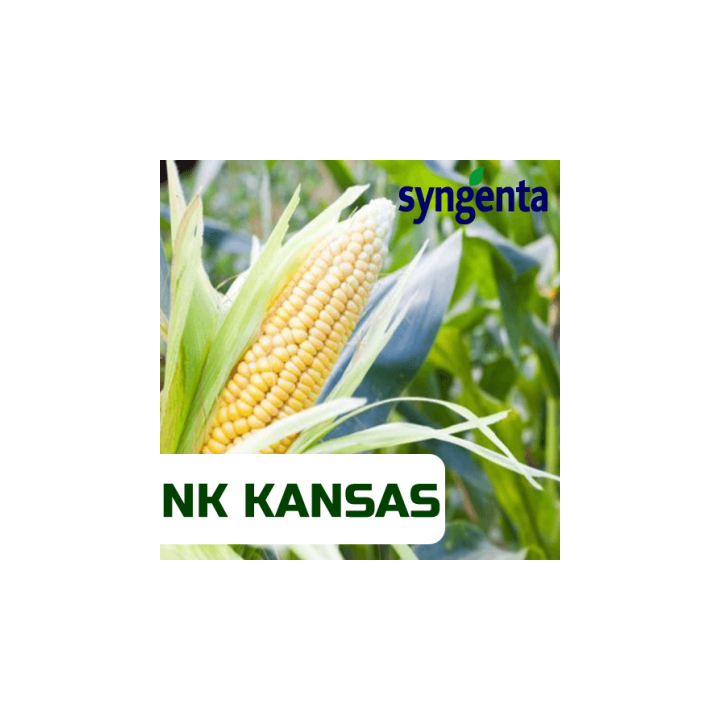 NK Kansas / НК Канзас