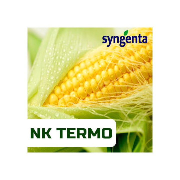 NK Top / НК Топ