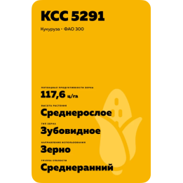 Osterbi CS / Остербі КС