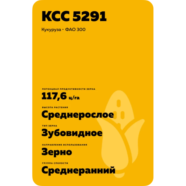 Osterbi CS / Остербі КС