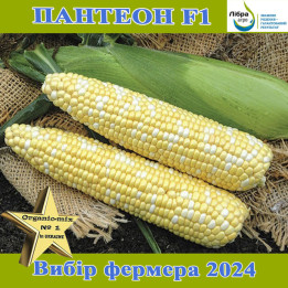 PANVINIO / ПАНВІНІО