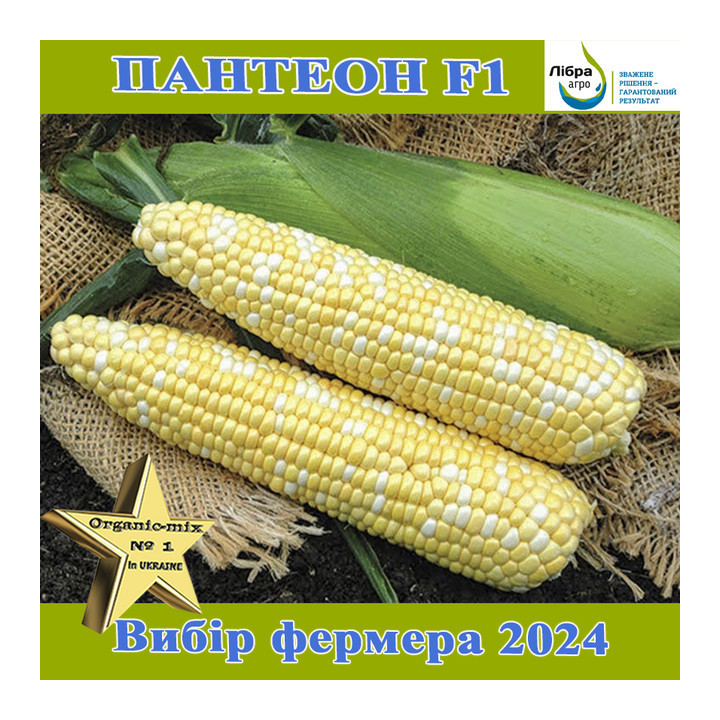 PANVINIO / ПАНВІНІО