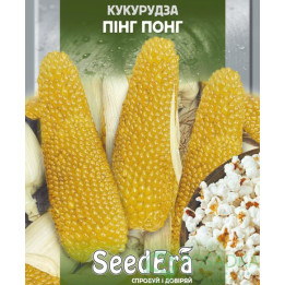 Pincki CS / Пінкі КС