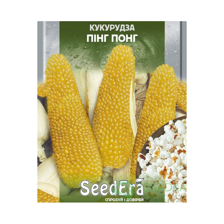 Pincki CS / Пінкі КС