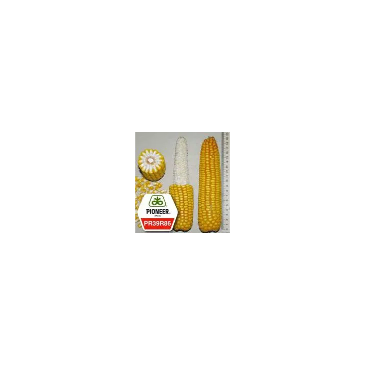 PR37F73 / ПР37Ф73