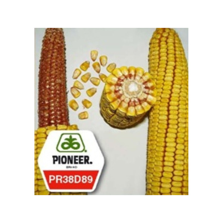 PR38A24 / ПР38А24