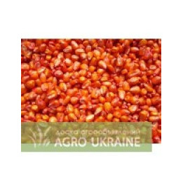 PR38B12 / ПР38Б12