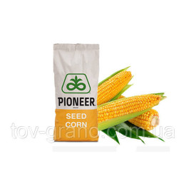 PR38A79 / ПР38A79