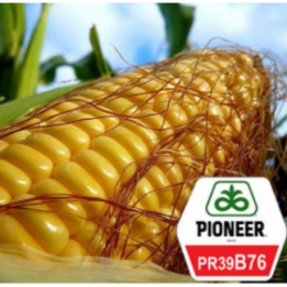 PR39B76 / ПР39Б76