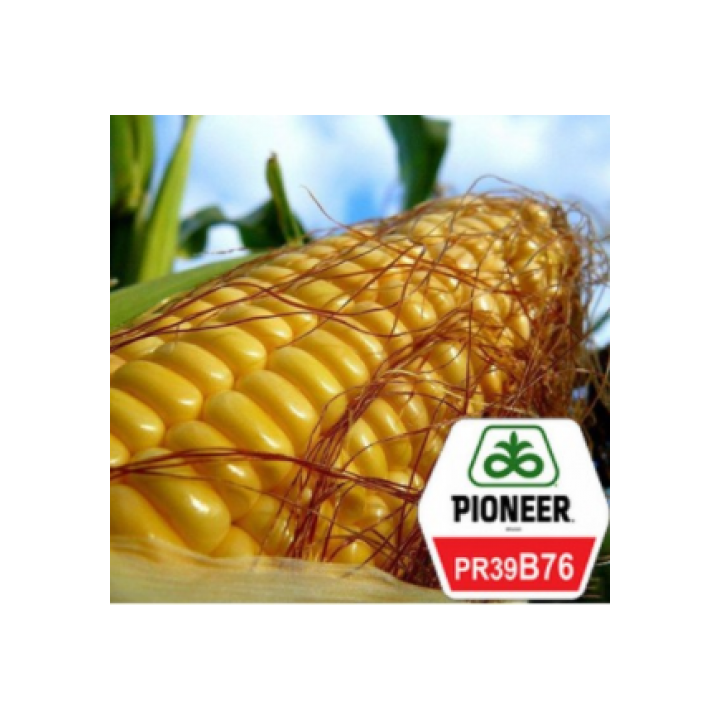 PR39B76 / ПР39Б76