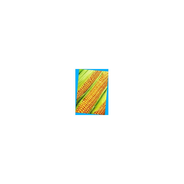 PR39W45 / ПР39В45