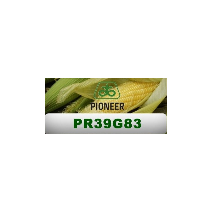 PR39G83 / ПР39Г83