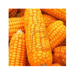 PR39R86 / ПР39Р86