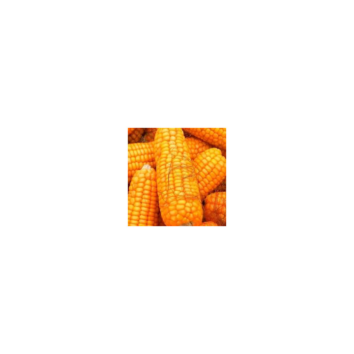 PR39R86 / ПР39Р86