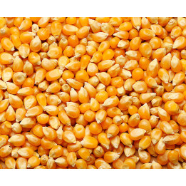 PRODUZENT / ПРОДУЗЕНТ