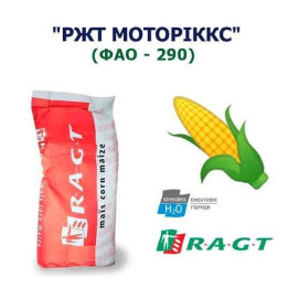 RGT SHARXX / РЖТ ШАРККС