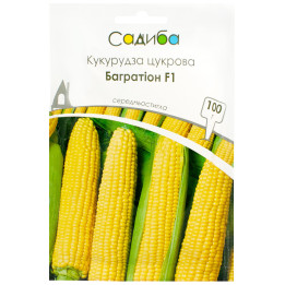 Садгір