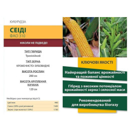 Seiddi / Сеіді