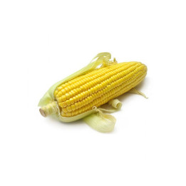 SY Veralia / СИ Вералія