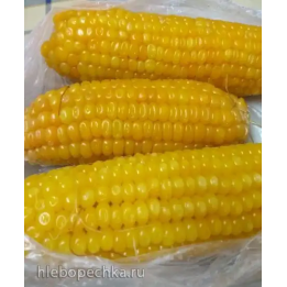 Смотрич МВ