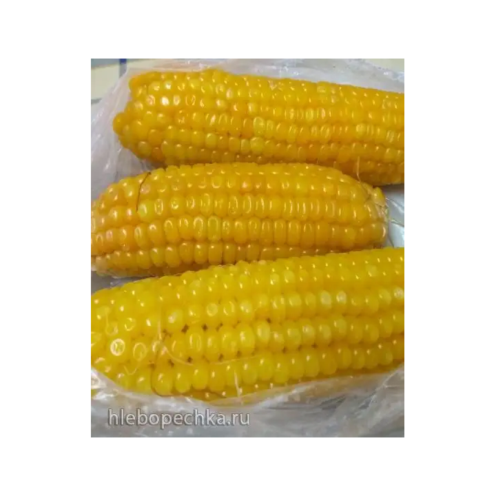 Смотрич МВ
