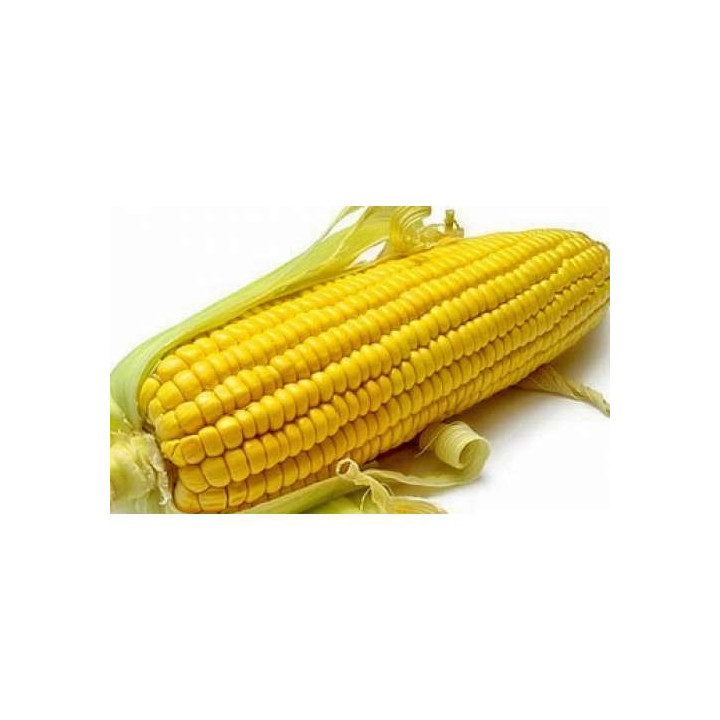 ТК202