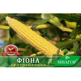 Filou / Філу