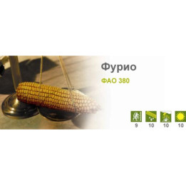 Furio / Фуріо