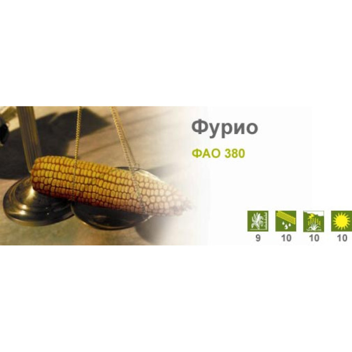 Furio / Фуріо