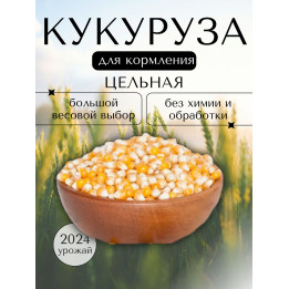 CE 1360 / ЦЕ 1360