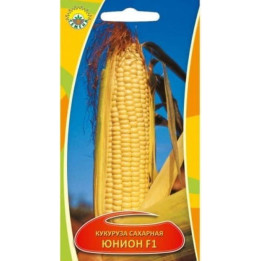 Юніон