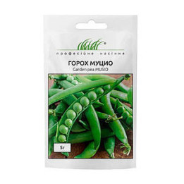 Mucio / Мусіо