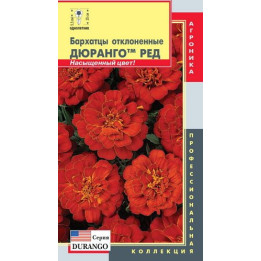 Durango / Дюранго