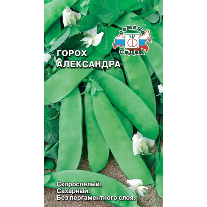Алекс УЛ