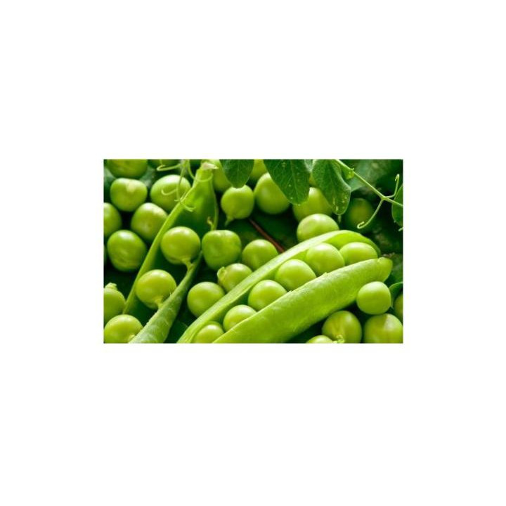 Чекригінський