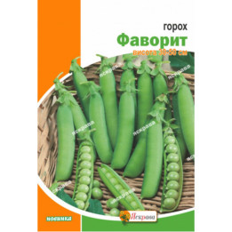 Javor / Явор