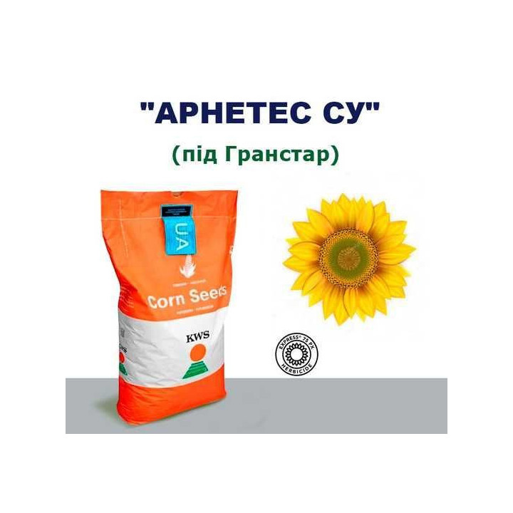 ARNETES SU / АРНЕТЕС СУ