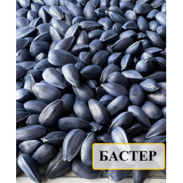 Бакстер