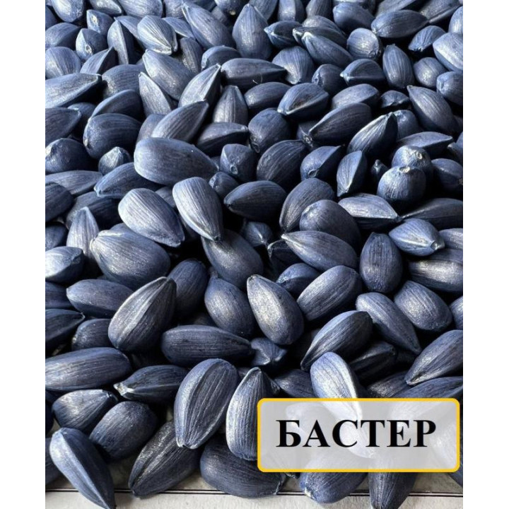 Бастер