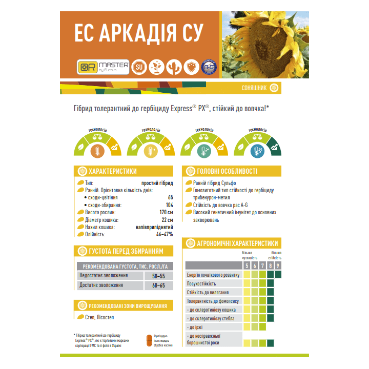 ЄС Аркада