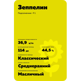 ZEPPELIN / ЗЕППЕЛІН