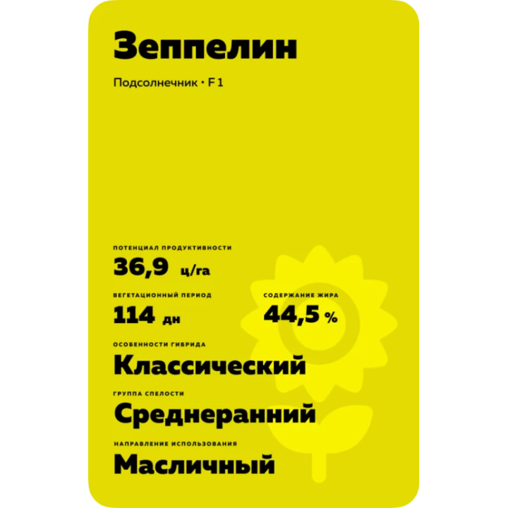 ZEPPELIN / ЗЕППЕЛІН