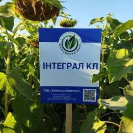 Інтеграл