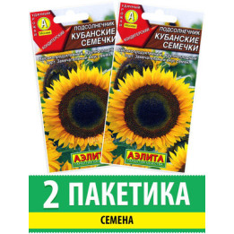Кадет