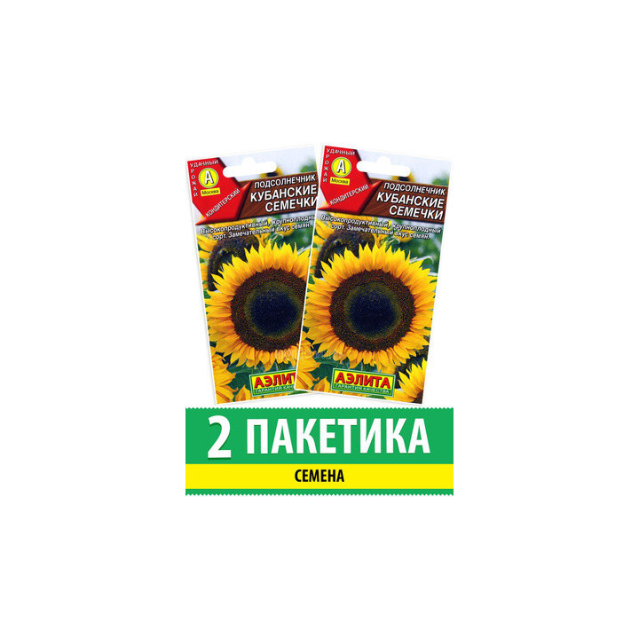 Кадет
