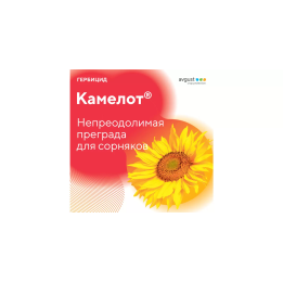 Камелот