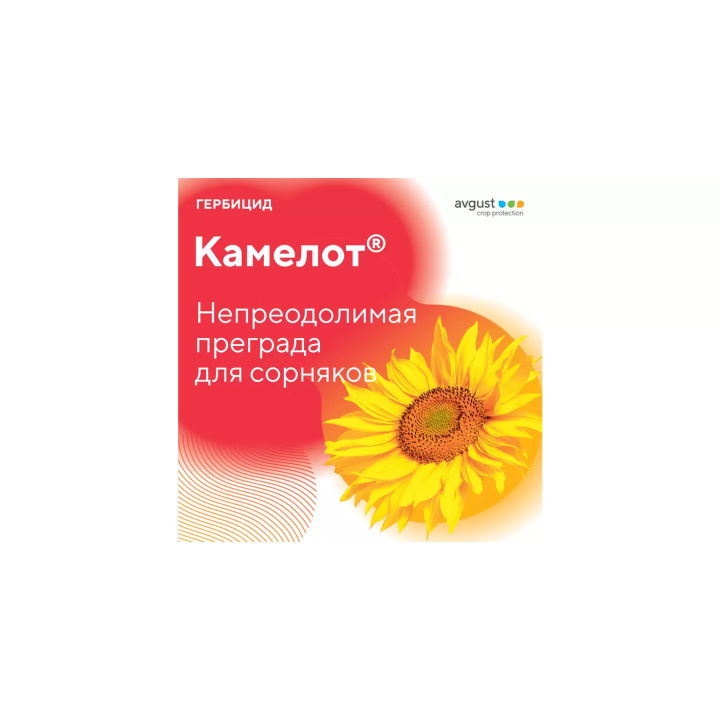 Камелот